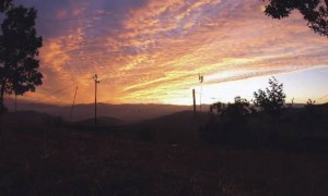 सुभह की वीडियो एक बफर देखना !