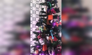 मेरी क्रिसमस वीडियो