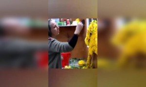 राधा कृष्ण