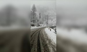 मेरा दिल कहीं दूर