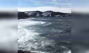 कितना अच्छा प्लेस है,कितना पानी है देखो !