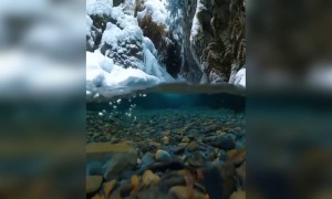 कितना स्वच्छ जल है...