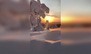 स्नो वर्ल्ड