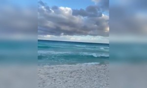 बीच का नजारा