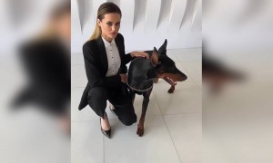 कुत्ता के साथ जबरदस्त वीडियो  देखो !