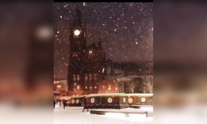 स्नोफॉल