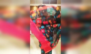 होली है भई होली है - होली 2021.....