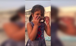 होली 2021-होली है भई होली है..