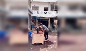 होली की शुभकामनाएं ।।