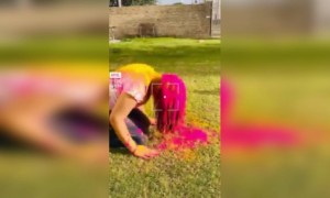 होली 2021 - हैप्पी होली मेरे प्यारे दोस्तों.....