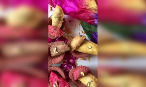 होली मुबारक - आइए रंगों के इस त्योहार का आनंद लें....