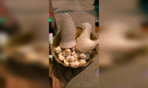 हैप्पी होली 2021  - आइए रंगों के इस त्योहार का आनंद लें!!