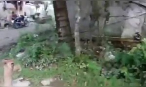 फनी वीडियो आपके लिए