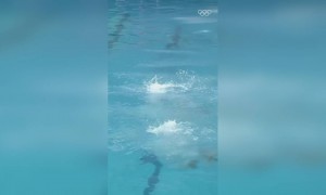 ओलंपिक वीडियो देखिये