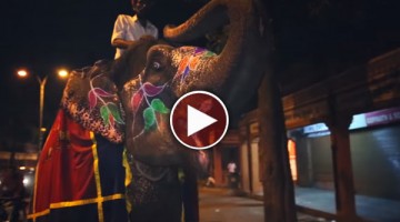 रिक्शा रन  - भारत के विज़ुअल वाइब्स 