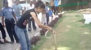 सांप से खेलना इस लड़की के लिए बच्चों का खेल 