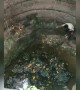 इस लड़के ने एक कुत्ते को कुवें में डूबने से बचाया
