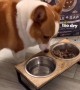 सूखा खाना इस कुत्ते को पसंद नहीं