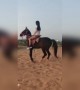 घोडेके सवार क्या मजा है एक बार आप बी टॉय करो
