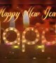 हैप्पी न्यू ईयर हैप्पी न्यू ईयर वीडियो सांग !